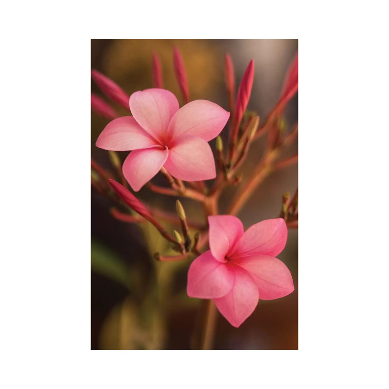 Pink Flowers 1 Piece Wrapped Canvas Wall Art, 101.6 cm H x 66.04 cm W x 1.91 cm D