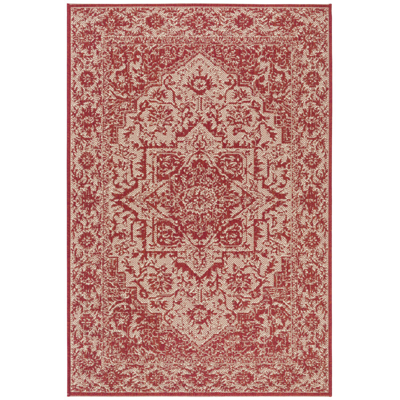 Donivin 100 Performance Oriental Indoor/Outdoor Area Rug, Rectangle 4' x 6'