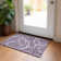 Machine Washable Indoor/Outdoor Chayden ACN999 Rug