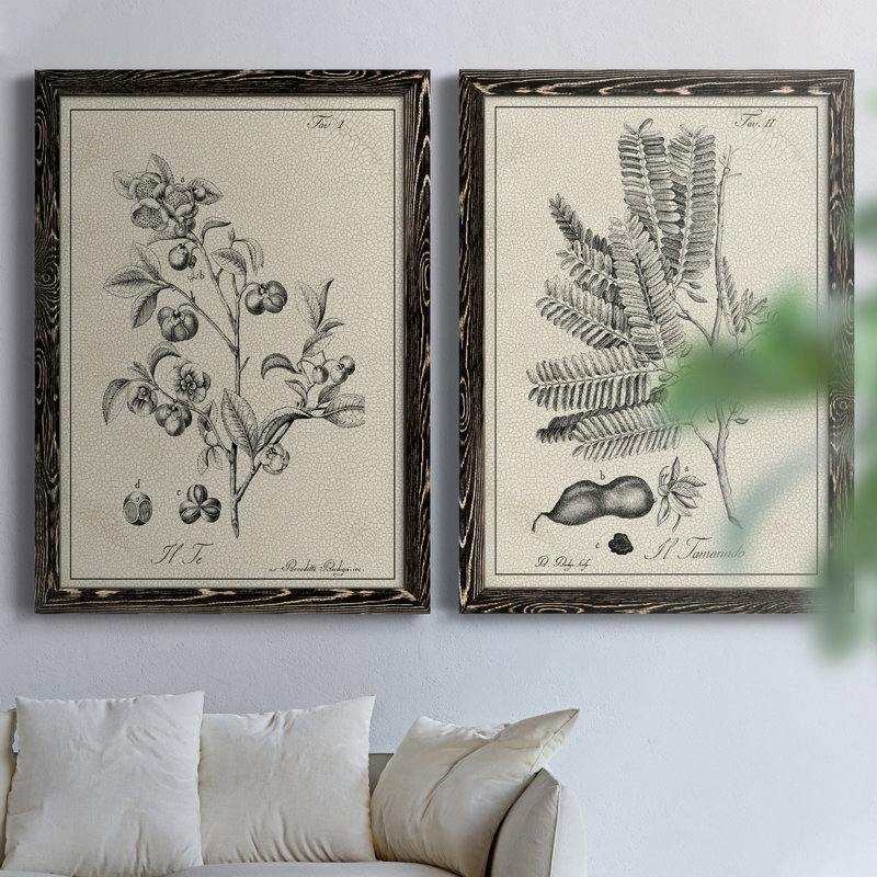 «Antique Black and White Botanical IV», ensemble de 2 reproductions d'art sur toile, Toile avec cadre noir