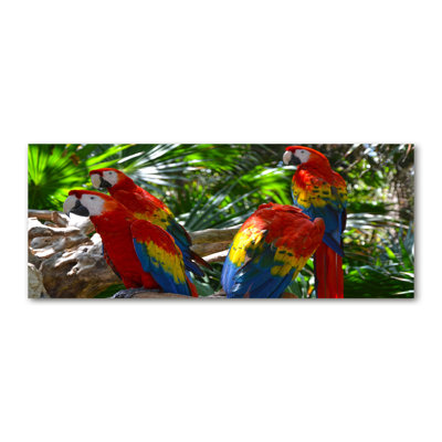 Macaw Parrots - Wrapped Canvas Print