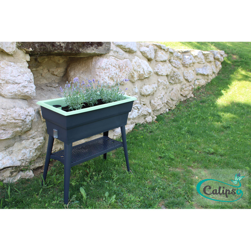 Raised Garden Bed