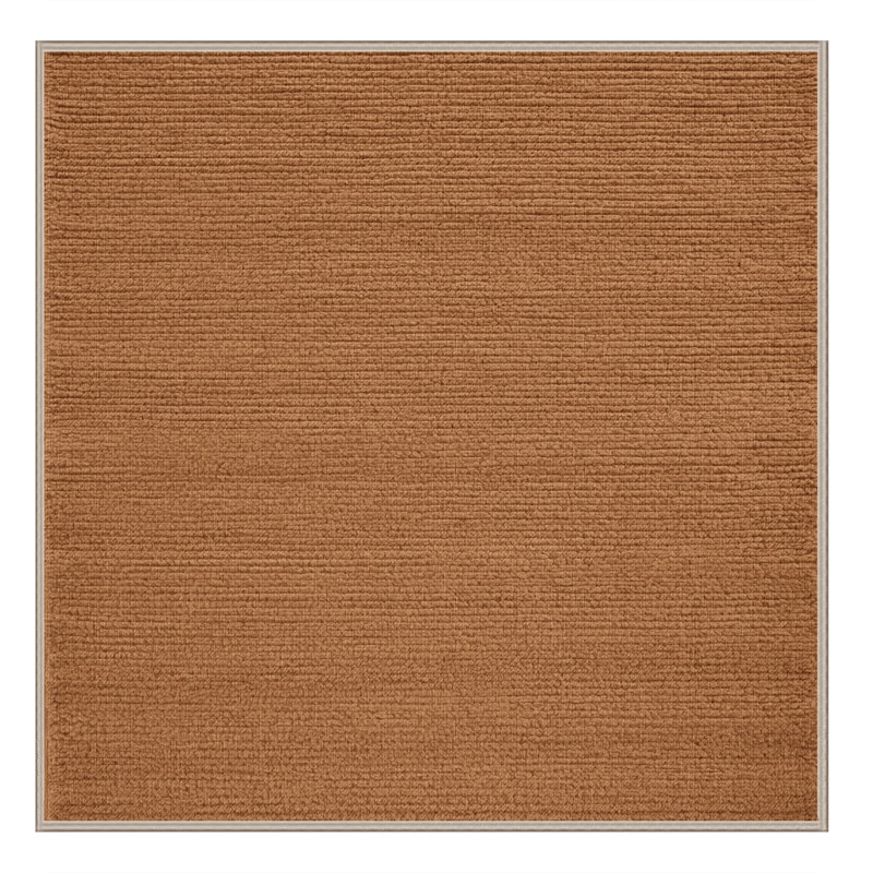 Machine Washable Solid Brown Area Rug, Square 5'