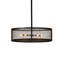 12 - Light Dimmable Drum Chandelier