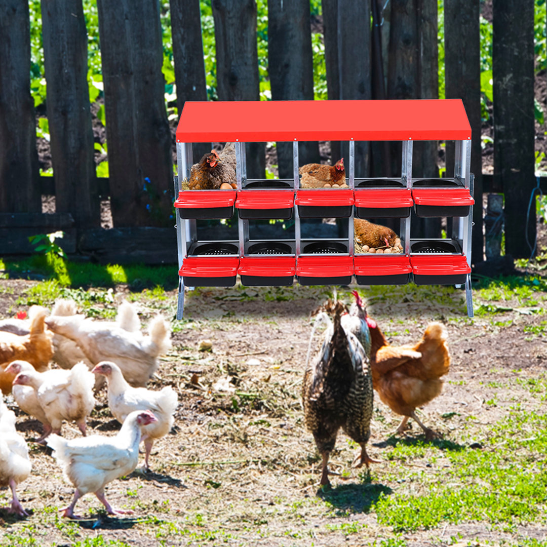 Chicken Nest Box, Chicken Nest Box With Lid To Protect Eggs
