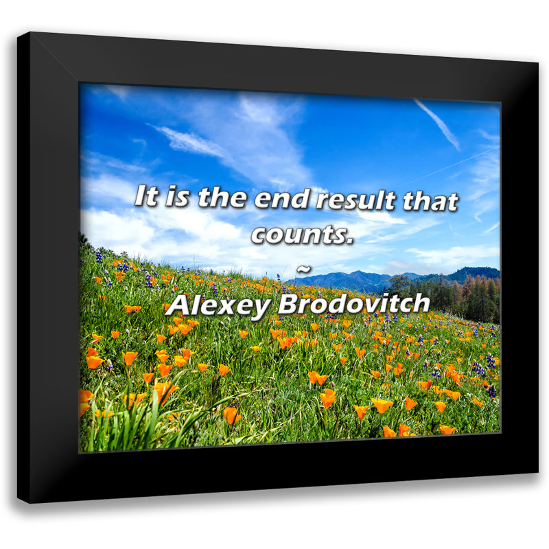 Alexey Brodovitch Quote: It is the end result that counts.