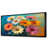 Black Floater Framed