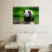 Crowle Strolling Panda-111979346