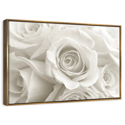 Roses blanches pures