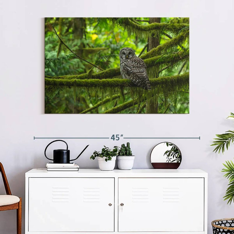 Brampt Mossy Tree Owl, 26" H x 39" W