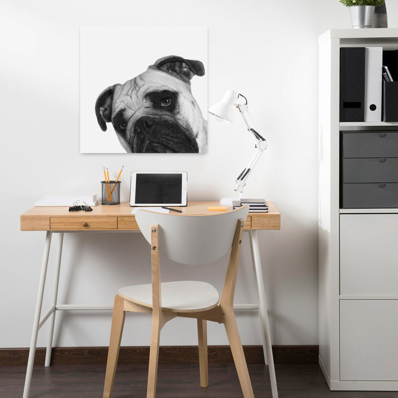 Art contemporain pour chien Que Pasa, H 18 po x l 18 po
