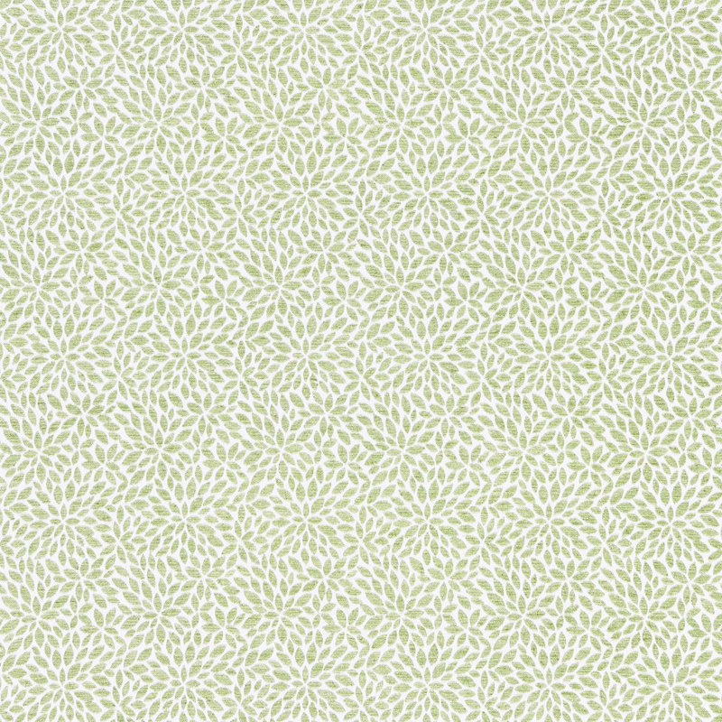 Pacifica Fabric, Fern