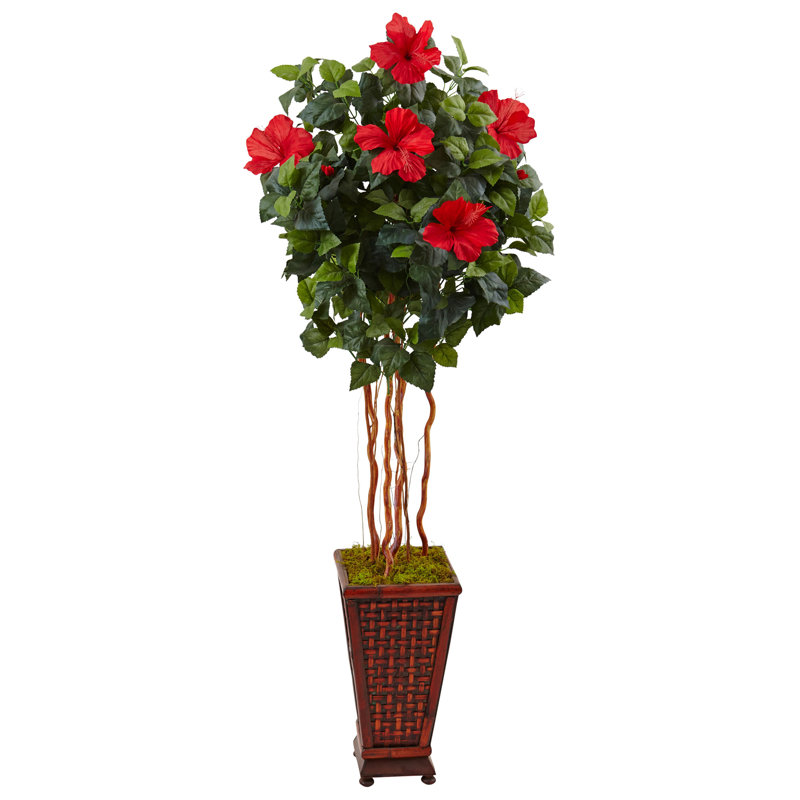 Plante florale 43" hibiscus