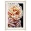 Floribunda II Print by Alicia Bock-1498420165-1498420171
