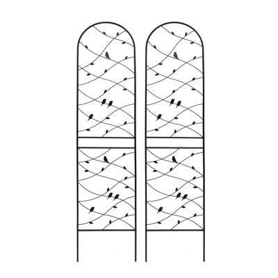 Versatile Metal Garden Trellis for Various Climbing Plants, Enhancing Outdoor Beauty