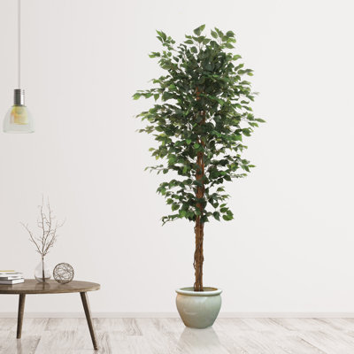 7 Feet Tall Artificial Ficus Tree - Green Faux Tree in Pot