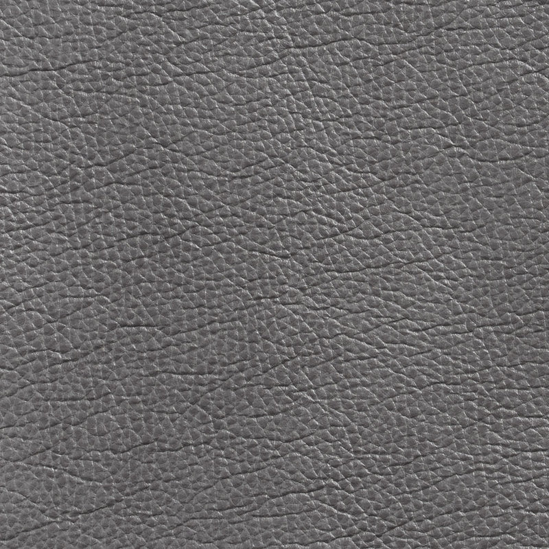 Emu lisse, Gris