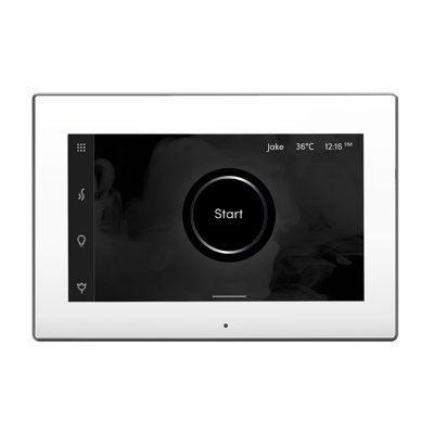 iSteamX Steam Shower Control and Steamhead