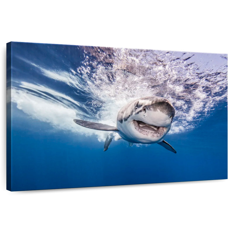 Happy Shark, 34" H x 51" W