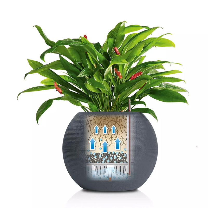 Pot Planter, White, 50.5 cm H x 50 cm W x 50 cm D