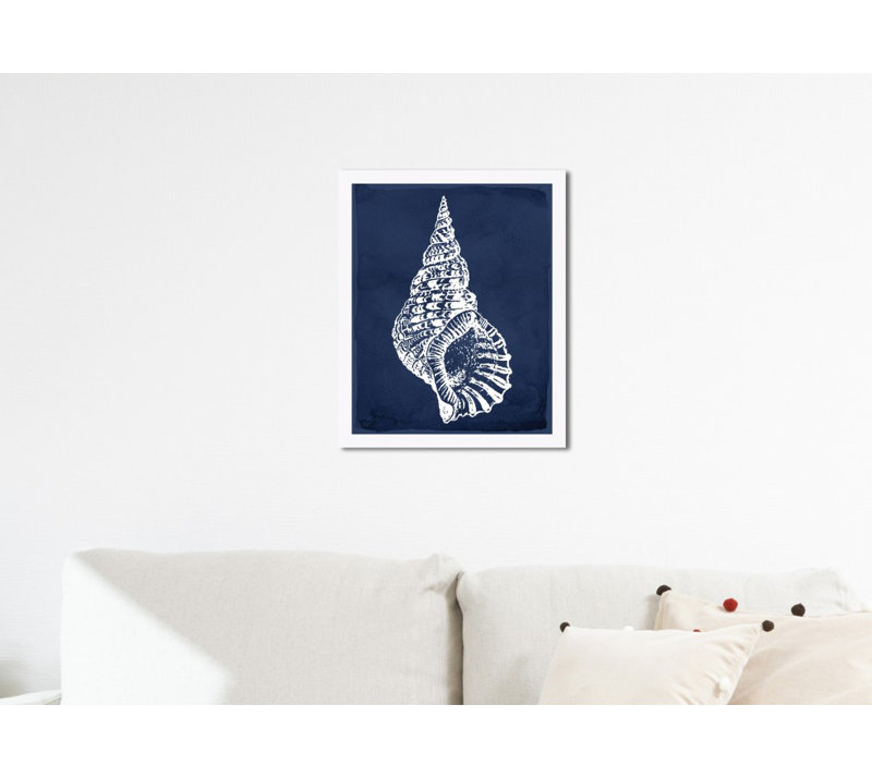 « navega shell marine », impression encadrée, H 24 po x l 20 po x P 1,5 po