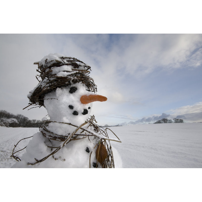 Snowman Field by Colourfield - Wrapped Canvas Print, 30cm H x 46cm W