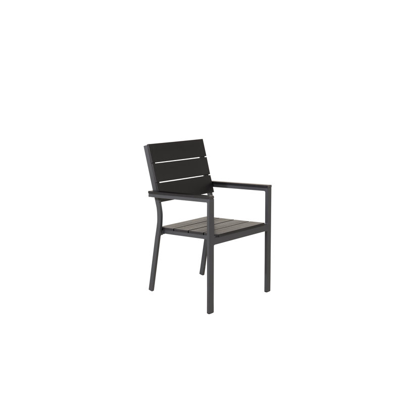 Faiyaz Patio Dining Armchair with Cushion, Black