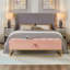 Base de lit en métal avec velours rose 58,6 po-1527202557