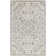Chapotin Oriental Indoor Rug