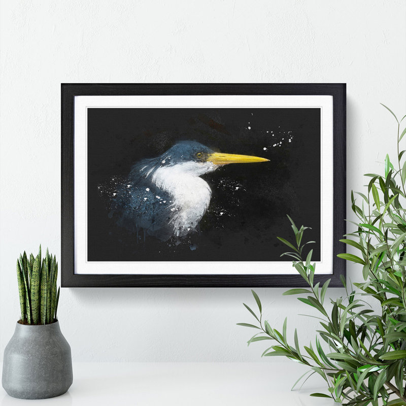 Pied Heron - Picture Frame Graphic Art Print, 33cm H x 45cm W x 2cm D, Black Framed