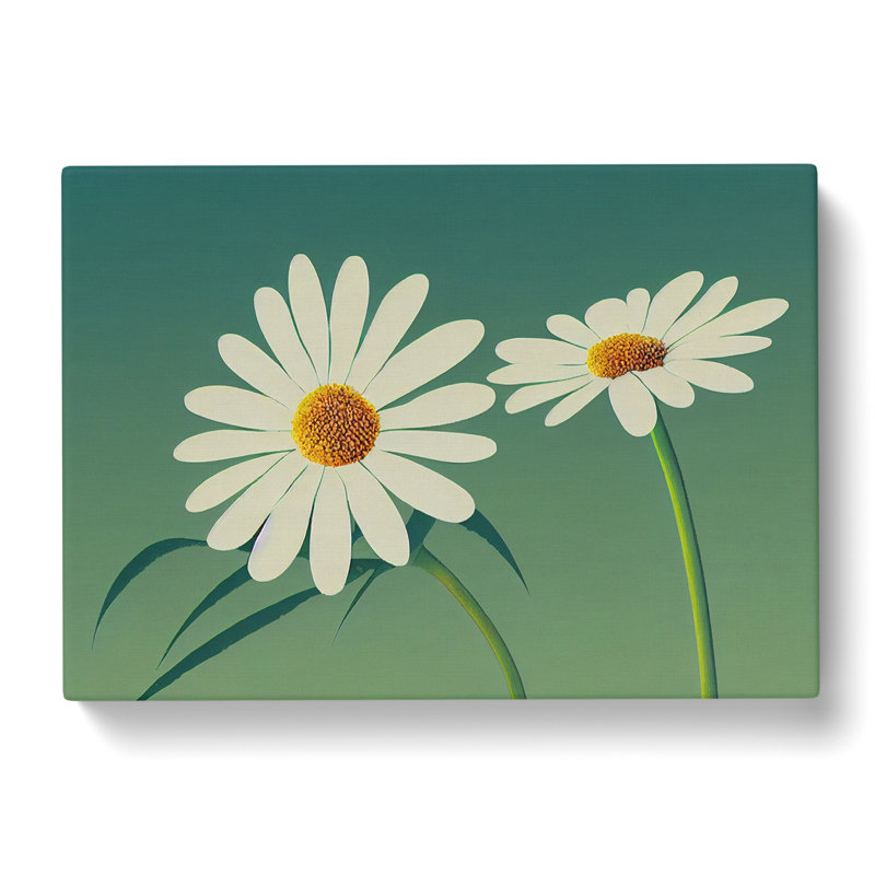 Gorgeous Daisy Flowers - Wrapped Canvas, 35cm H x 50cm W x 3cm D