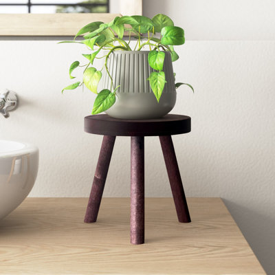 Abraam Solid Wood Plant Stand 1 Tier