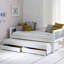 Booth Solid Wood Daybed with Trundle Bed-28079698