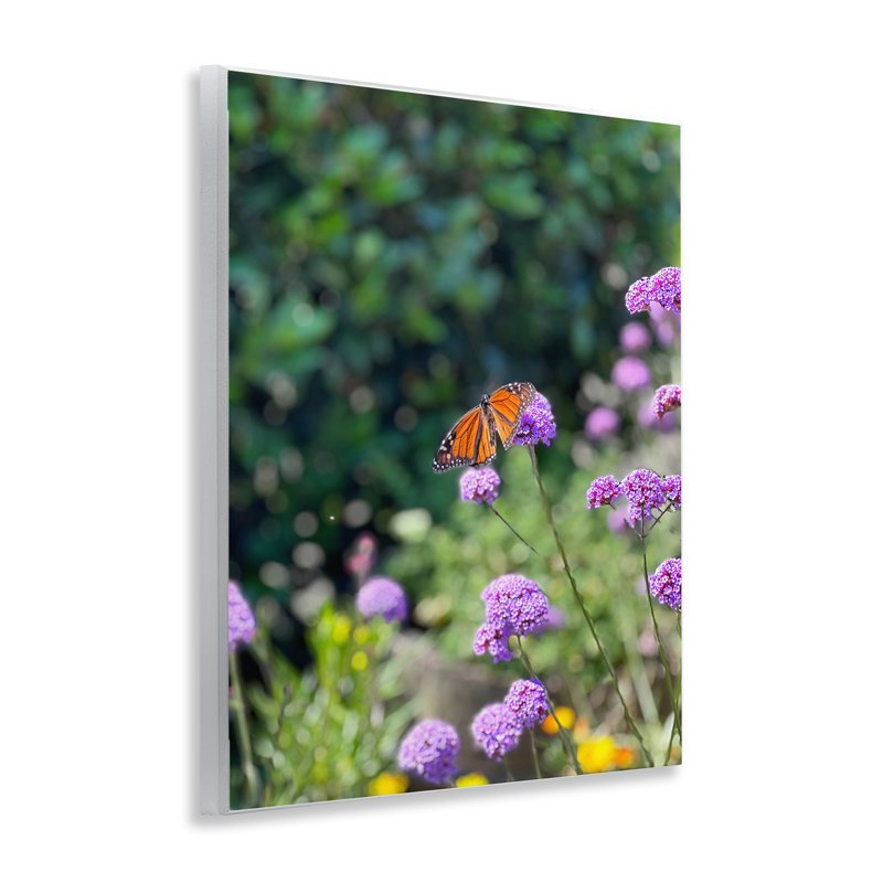 «Butterfly in Meadow», art mural par Kali Wilson