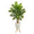 63'' Faux Palm Tree in Clay Planter