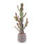 Cactus artificiel de 42 po dans un panier tissé - Plante artificielle d'intérieur réaliste pour la maison, le bureau ou le patio