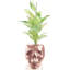 Handmade Pot Planter-52454978
