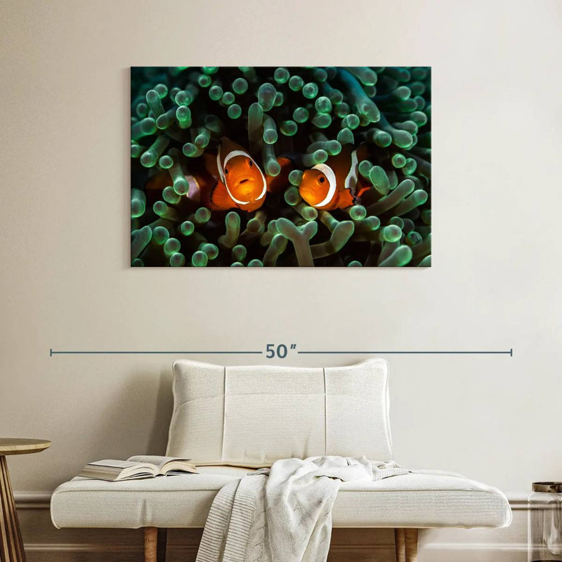 Brampt Two Clownfish Hiding, 26" H x 39" W