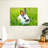 Brampt Grass Munching Rabbit-108733061