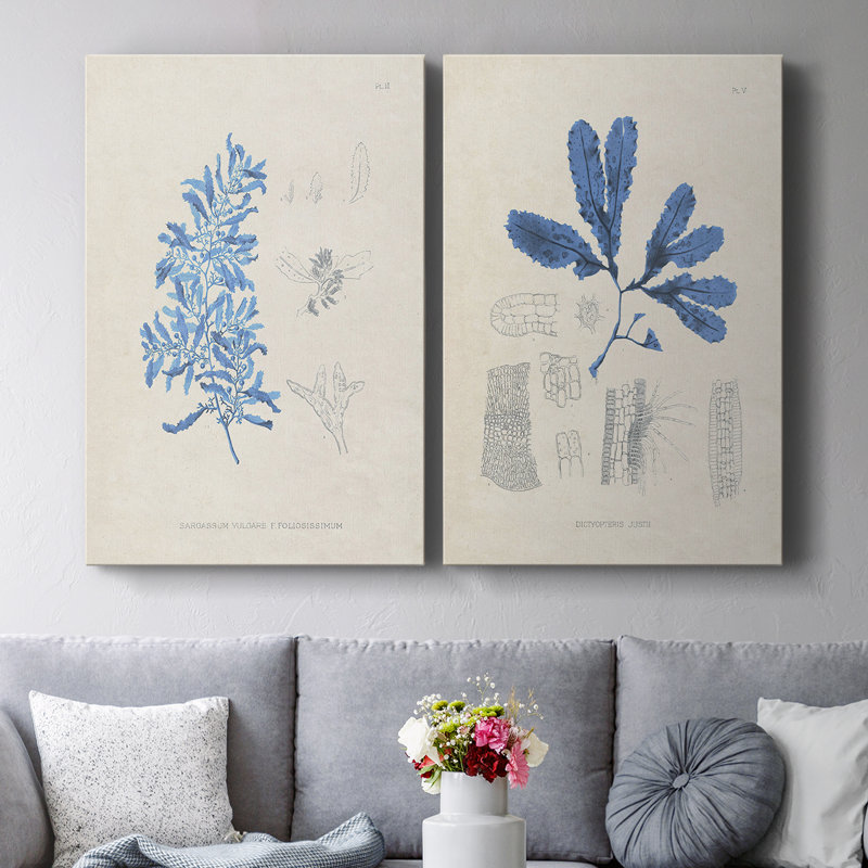 «Blue Marine Algae VI», toile tendue avec châssis de qualité supérieure, prête à être accrochée, H 18 po x l 24 po