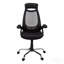 Chaise de bureau, hauteur réglable, pivotante, ergonomique, accoudoirs, bureau d'ordinateur, travail, filet noir, métal chromé, contemporain, moderne-130623012-130623010