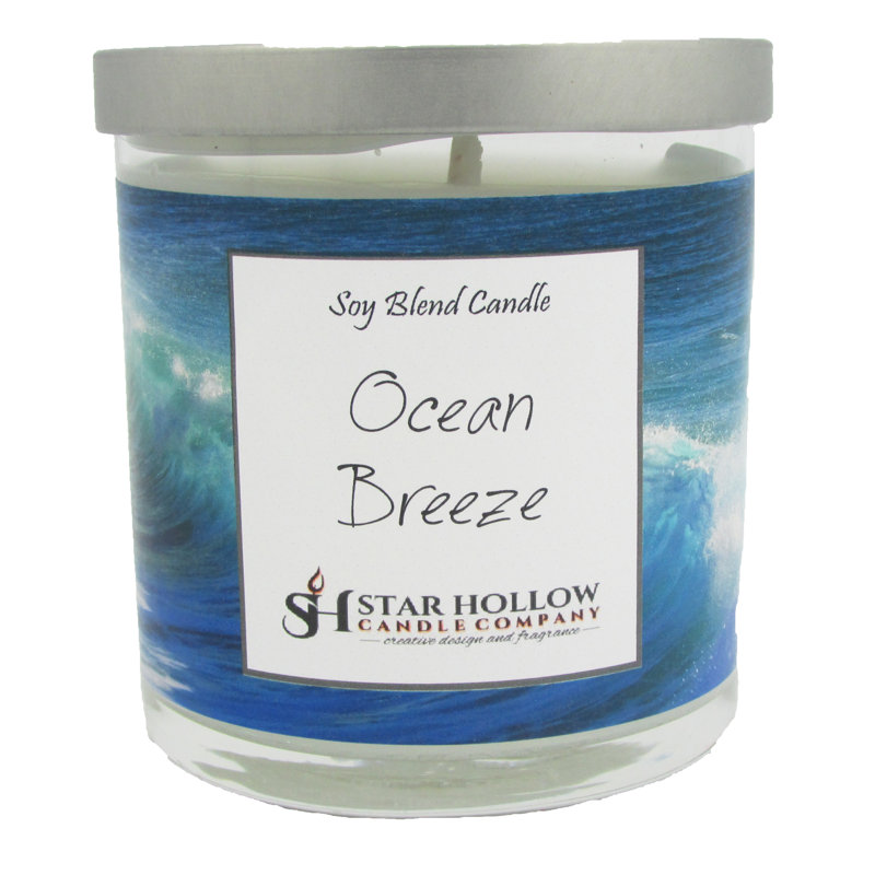 Bougie pour pot de mer ocean breeze, H 3,25 po x l 2,75 po x p 2,75 po