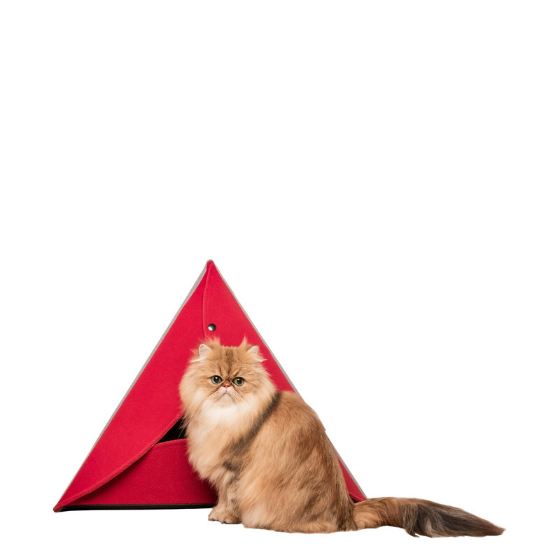 Orthopedic Microfibre Tent Pet Bed, Red