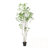 240CMARTIFICIAL PIERIS TREE