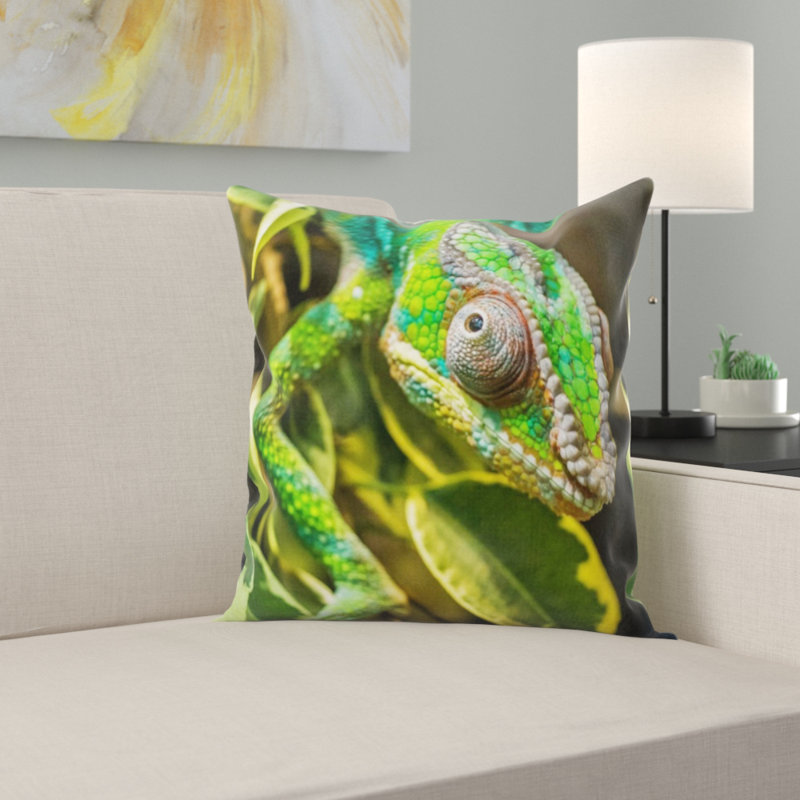 Coussin en jeté chameleon