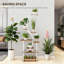 Corner Plant Rack For Multiple Plants,Plant Stand, 8 Tier S-Shaped Plant Shelf-126443175