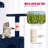 Derrell Multi-Level Cat Tree Tower-1608130709-1608130708