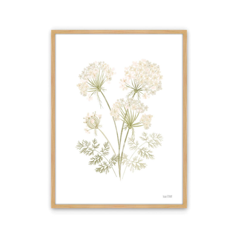 «Anne's Lace I» par House Fenway, reproduction d'art, L 24 po x H 32 po, Tanné, Impression encadrée