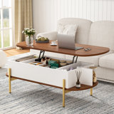 Molter 48" Oval Lift Top Coffee Table With Storage Open Shelf Living Room