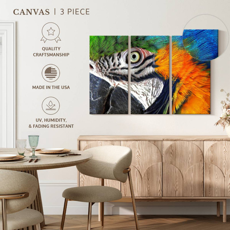 Brampt Macaw Eye, 20" H x 33" W